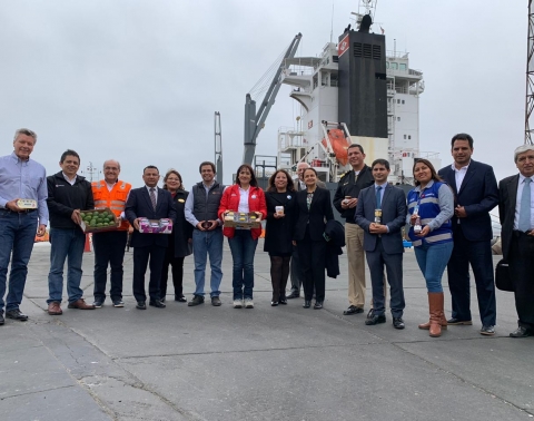 Puerto de Salaverry recibe primera nave de contenedores e impulsa las agroexportaciones en el norte del Perú